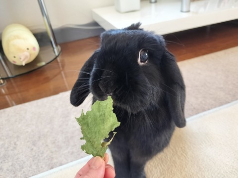 3B7BFB17-D4DF-4C35-BA9D-FFC4046947E3