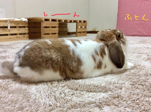 3899D39F-AE13-4D17-A2B3-02514467BF35