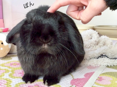 7CED3841-94F3-46B1-A737-088712C654FD