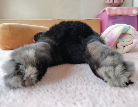 803D8083-4624-4094-818D-97E5505F5EE9