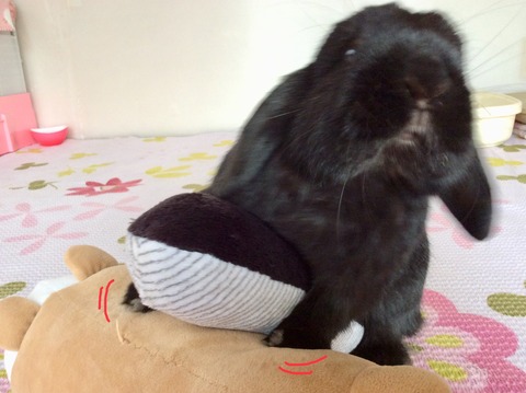 3BC8C8CE-AE98-4ADB-B6FB-DC8EC8E881E9