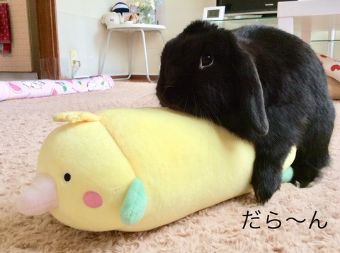 CD4A4686-1FB2-435B-9434-8BDCE09A7ECF