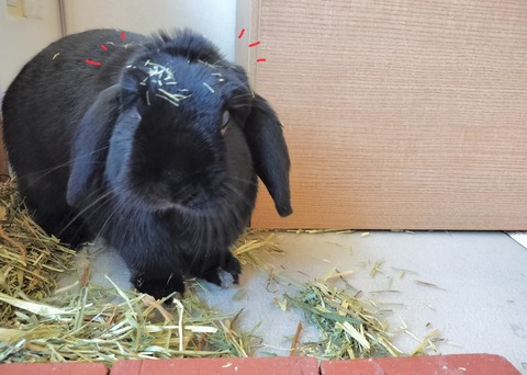 F4BCFF40-EE9E-49F1-9BDA-F700FFF642C1