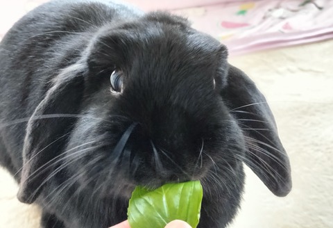 8CF80FD5-E4F4-4CF2-98FD-74FF7A2C3891