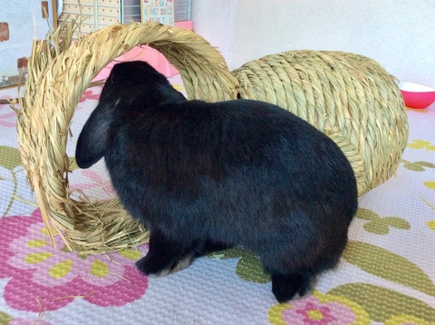 D39C03CF-9A4F-4F4C-8D30-DE2401B0E6AC