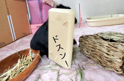 6B056647-8CE6-46F7-A90E-634ABC3B4F94