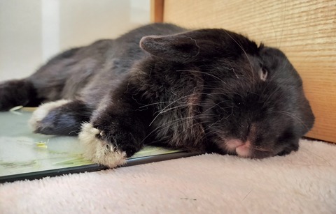 E66F2CA6-3672-4FF7-A8CD-8DF8A6526B18