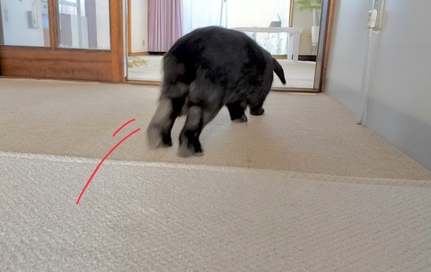 BB0DE500-6A77-436F-B4BB-BAAEDDD648DC