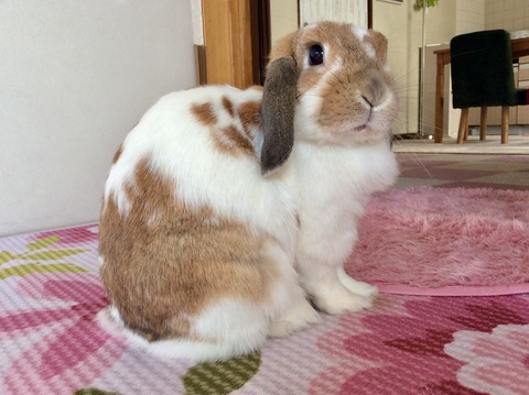 98556705-2B79-4977-A3A0-636D8F067114