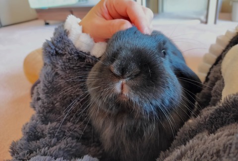 861083BD-6639-4925-85DA-A3FDDABC5436