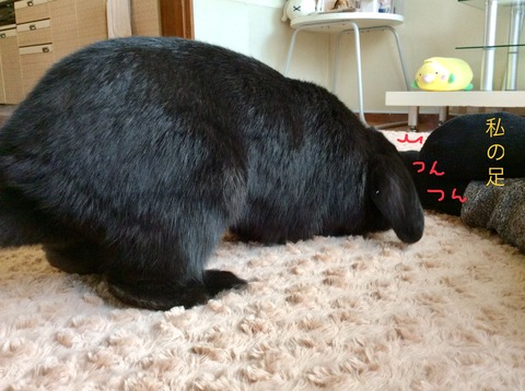 491C0640-3E0C-45B4-85F2-C7F9C590CDAC