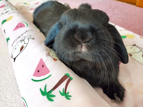 D220A25B-FD3D-4417-B214-2EE5DD5575B4