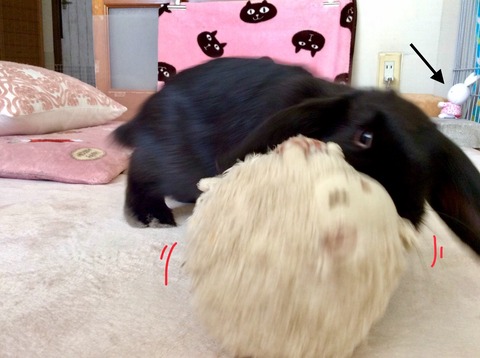 F15078AA-6432-4B8A-9391-978F2DDAFAA6