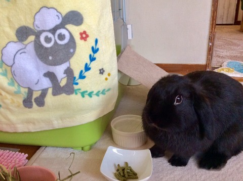 4498B23E-1145-4DA4-B361-4A2871D6AB5F