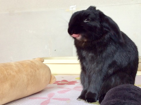 9BE46A84-614B-43ED-B3BE-213851BD346A