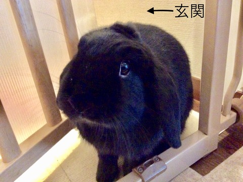 77D0D5DB-5743-42B0-93C1-056FB26E1DB7