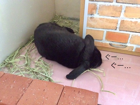 375055E1-9BAA-48A0-AF30-37C5904BE899