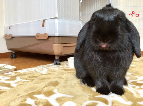 B69D3885-1C23-400E-8A21-394052491F6D