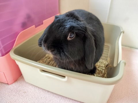 F0D8B0AC-F56F-4508-A72C-4A0805BDBFCE