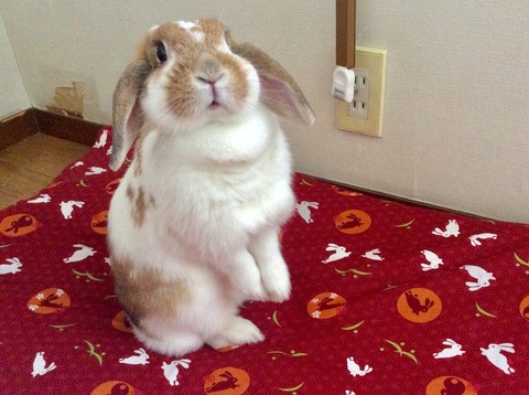 5B8414BC-5F48-4629-A394-A3874C3C3049