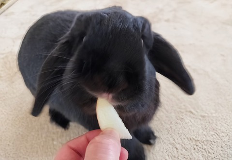 D1696A48-78CC-42AB-96A6-9BCFA36A17FF