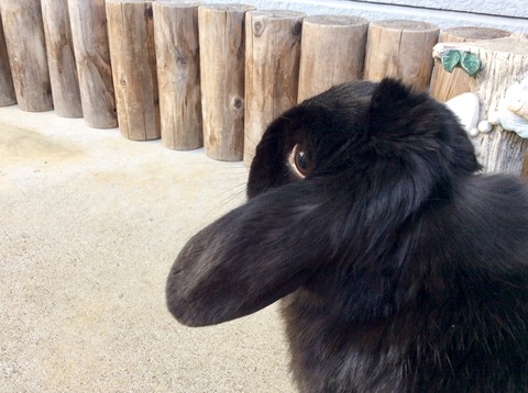 4FCC5D45-E78D-4156-8CE1-9B61AE085EBC