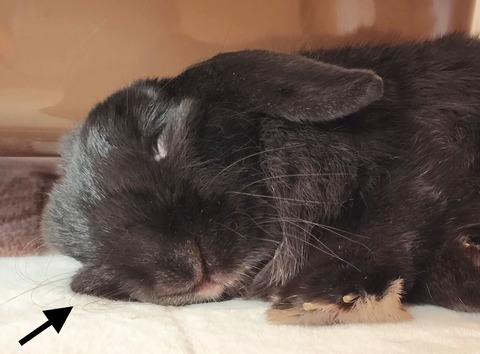 CA0690CB-DC26-4FA5-9612-AB41CF0DA63D