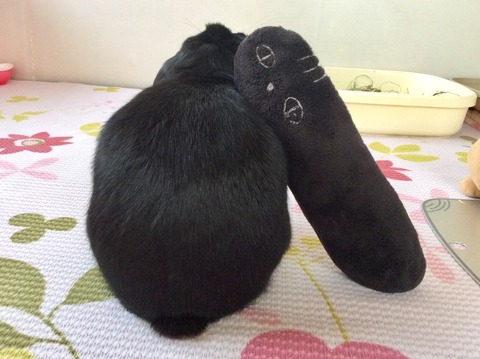 0B59B174-A687-4A40-9D64-3534D5316E52