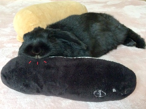 C9C0151F-532F-40A5-A1F8-1934BCE0F2A2