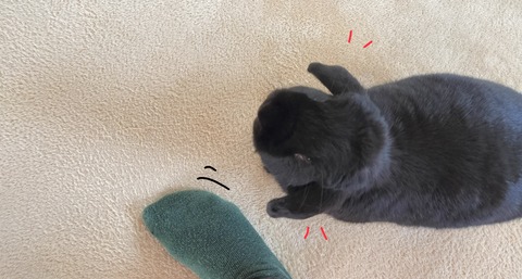 7B5C7C1F-08AD-4E6F-8E15-29E29230ED80