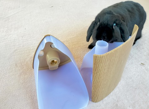 A2D470C1-18E1-426A-BAF9-9C940EC9B1BA