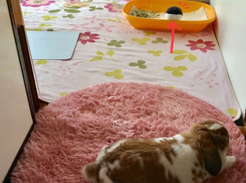 B3D779E1-E217-494F-93CE-718CE480B964