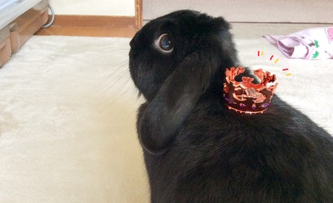 97AA587C-F863-4DEF-B7A5-83CB9F272607