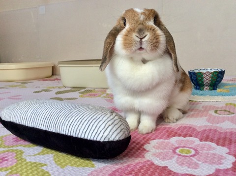 E72FB16F-FCC7-494F-8687-C95D88DE59E6