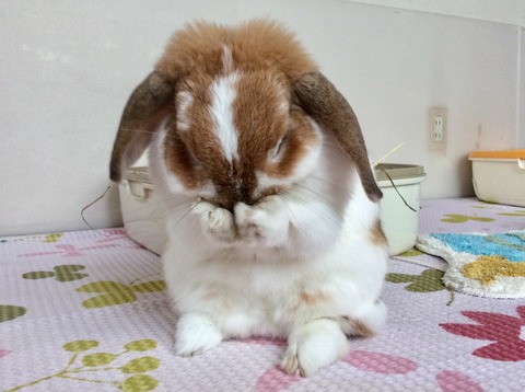 5105C5AB-E134-4D5A-ACD4-3AF31648F054