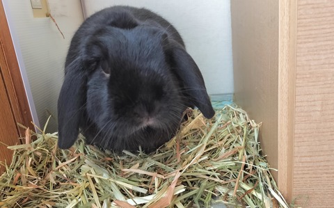 ACB836CE-6D93-4ECE-89B0-B8FA3DB627C2