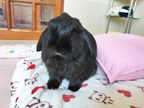 34F481AC-9416-4028-A988-786BD414B4E7