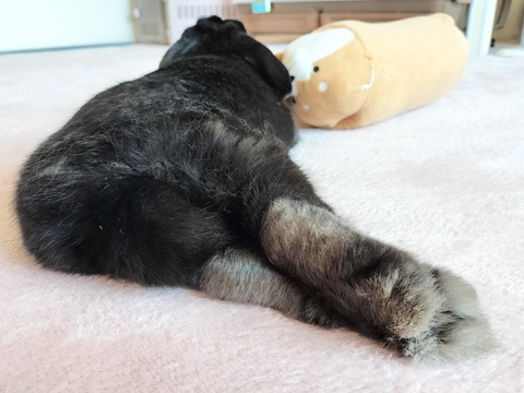 193E76EB-334F-4A1B-AB12-911332B129BB