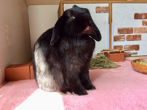 B1BBA70D-4F9E-4029-8A37-22A2B39008C9