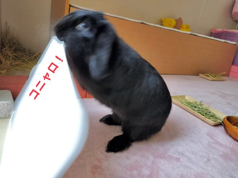 E2E01D62-7583-400E-8E77-7E129BC5085A