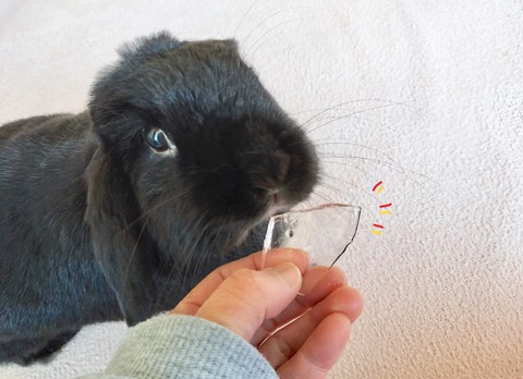 73D02A7A-5714-4E87-8B86-4CEEA835B501