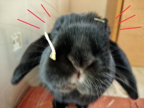 35016975-5542-4CF7-A3EF-41FB07663D50