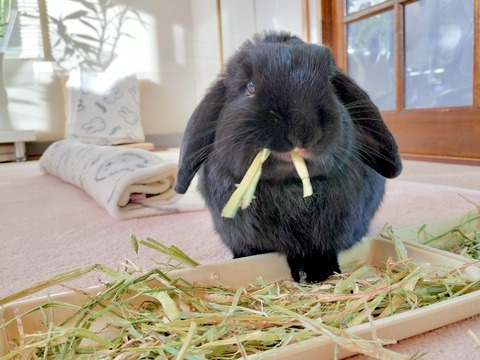 67F67599-FDC3-4618-B40C-75FA91CA2318