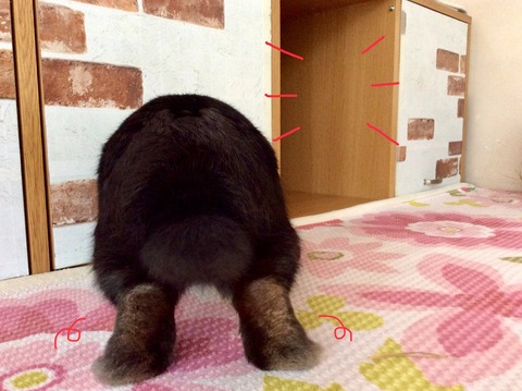 66112053-1689-4C8A-AB8D-2000835C8BB1