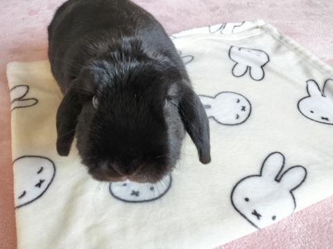 D9CDF4AF-2DC0-499F-A560-43F3BFBF9394