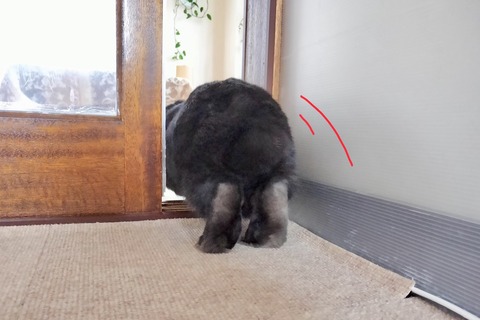 B8BA45F2-E9F8-41DC-8A1F-70977CCEB2BB