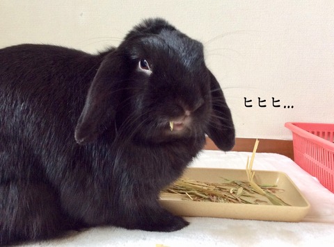 AD245A4B-0656-4E13-B9E3-E89782894C1D