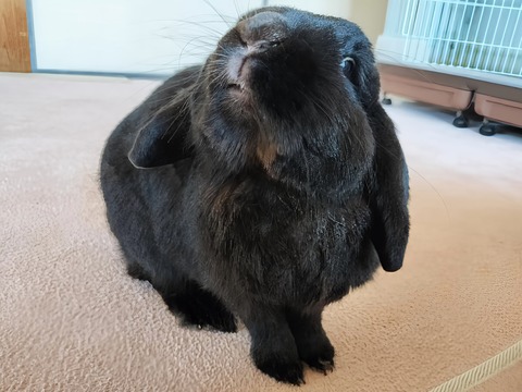 B5EFA148-EC82-4007-ADE4-4780E6BF0F1B