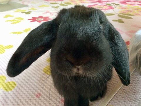 B2AF5D8E-0E25-46DC-9F09-088E3FB4D99D