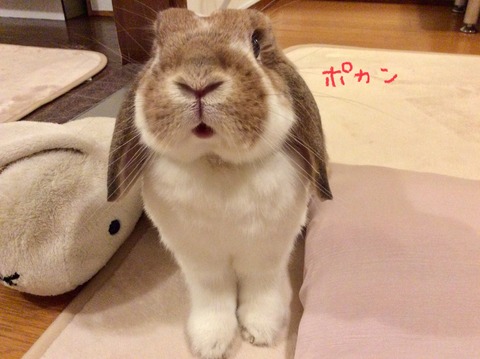 044569AE-4413-4C22-A773-9B1155DDFD5A